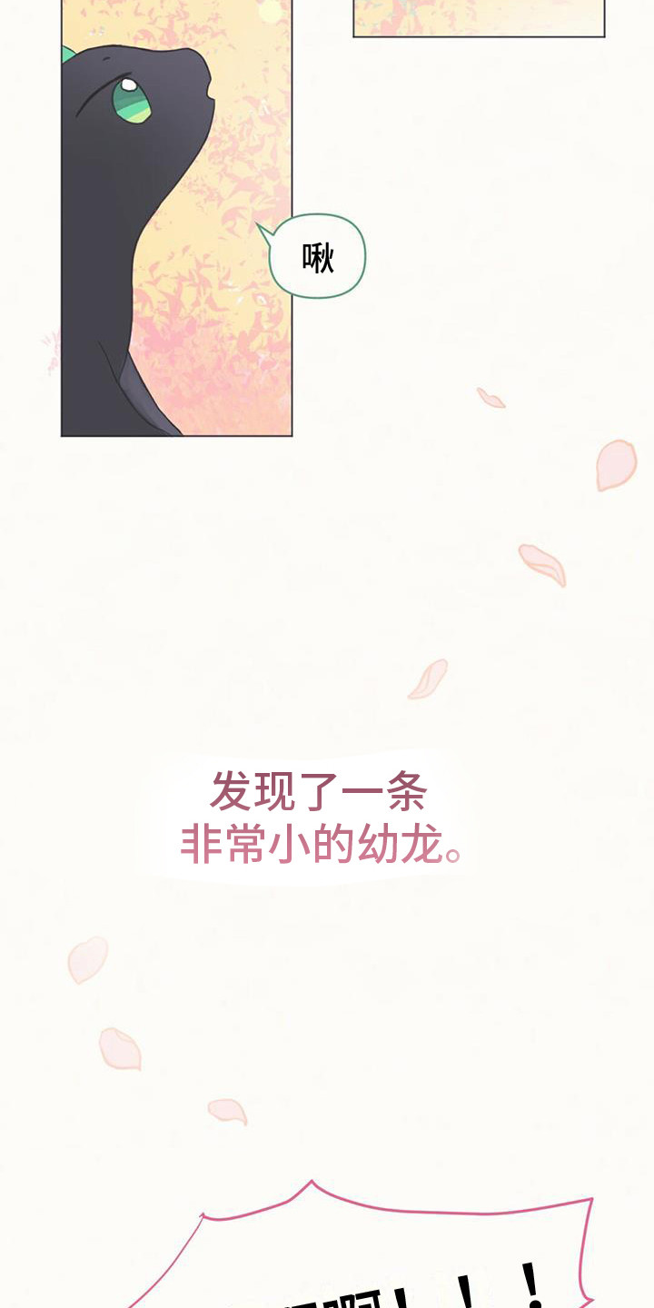第1章：幼龙8
