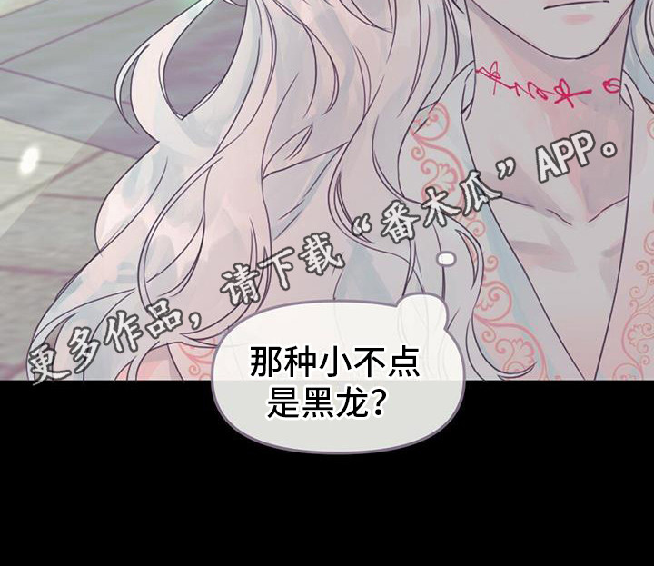 第28章：产生兴趣10
