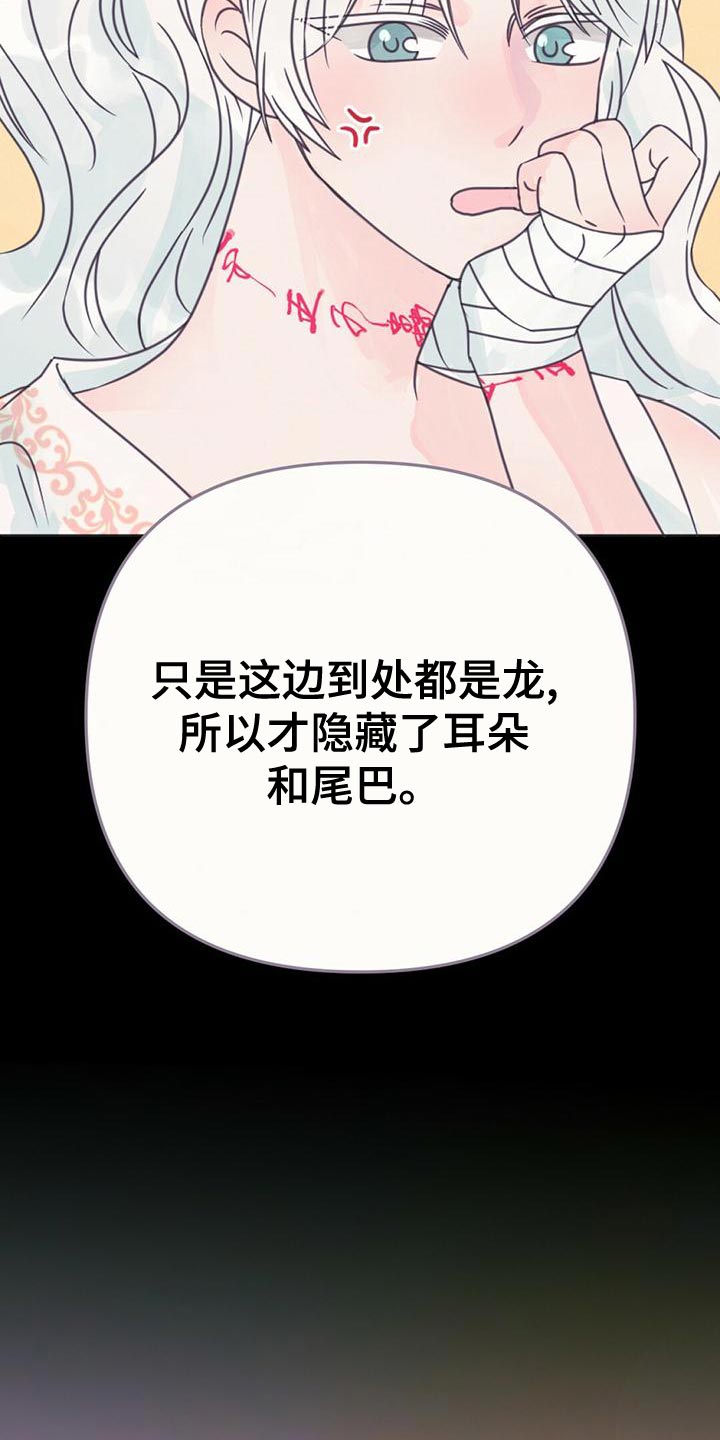 第31章：利用24