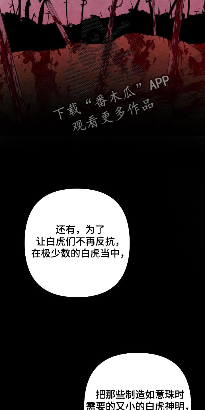 第67章：神珠的转世15