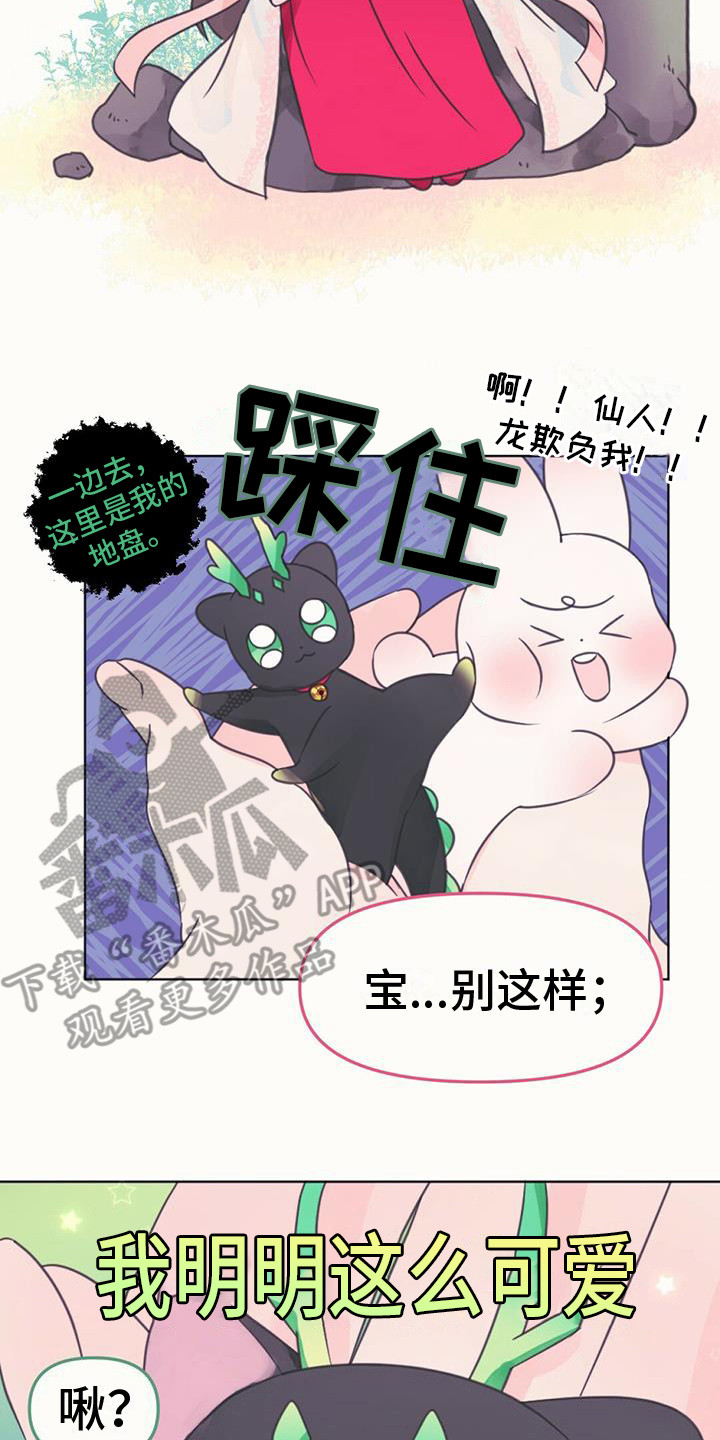 第11章：装可爱18