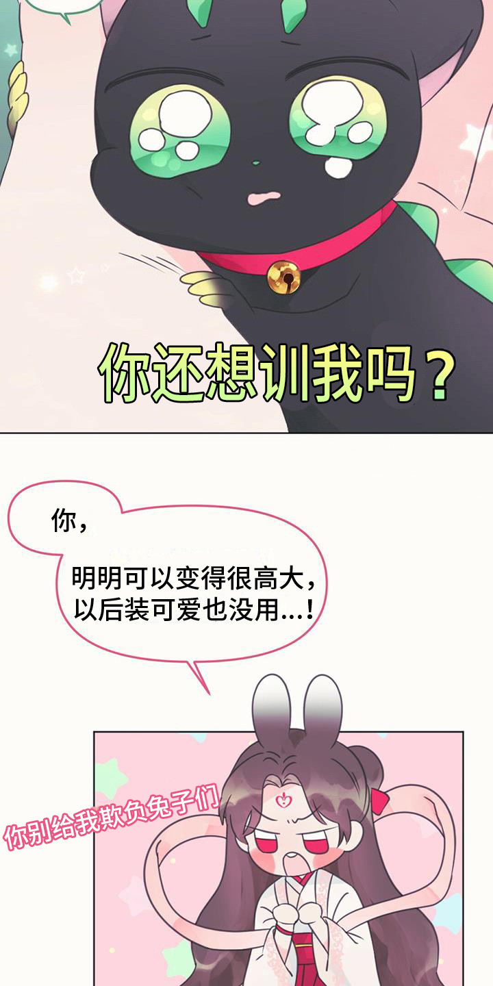 第11章：装可爱19