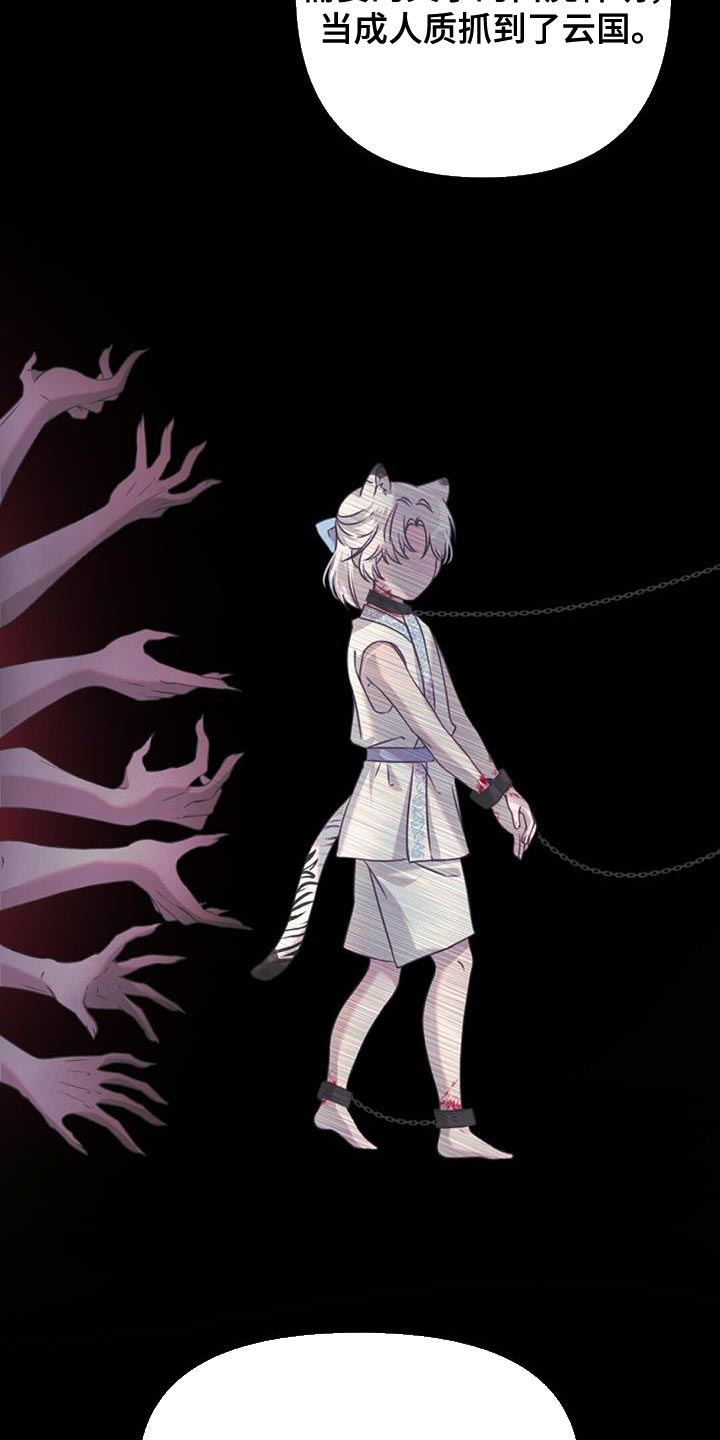 第67章：神珠的转世16