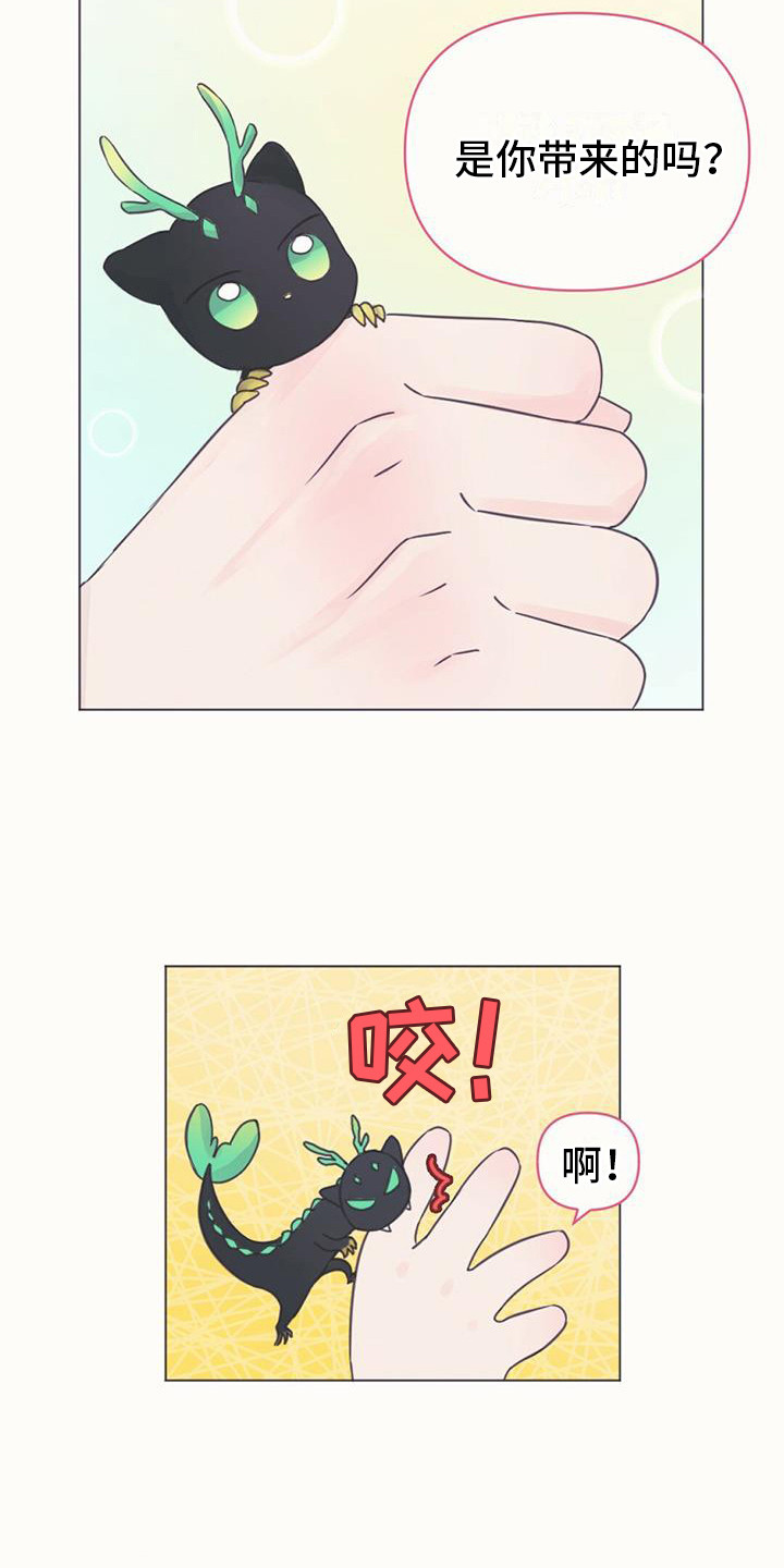 第1章：幼龙16