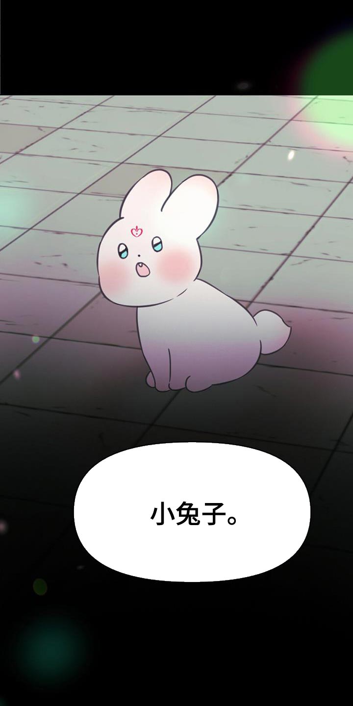 第46章：别有用心的兔子13