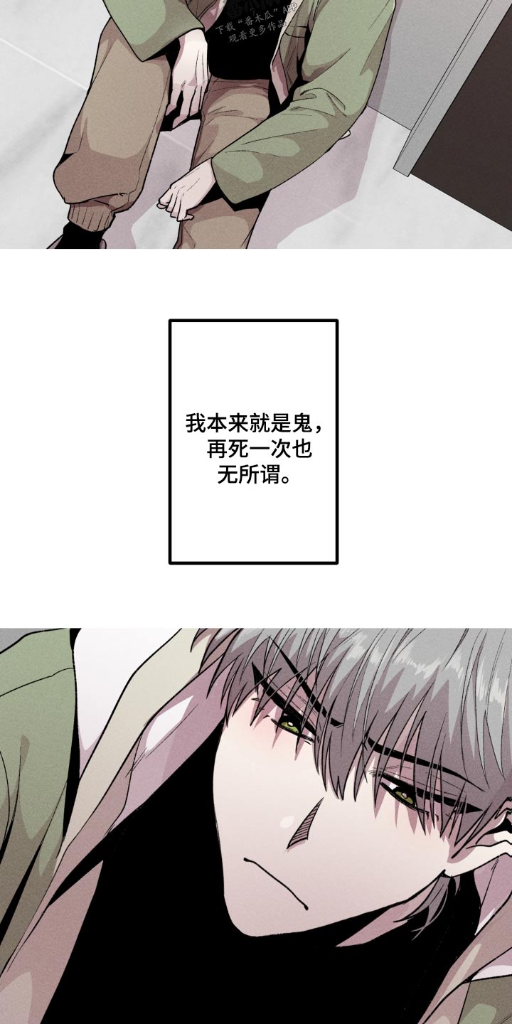 第48章：明显17