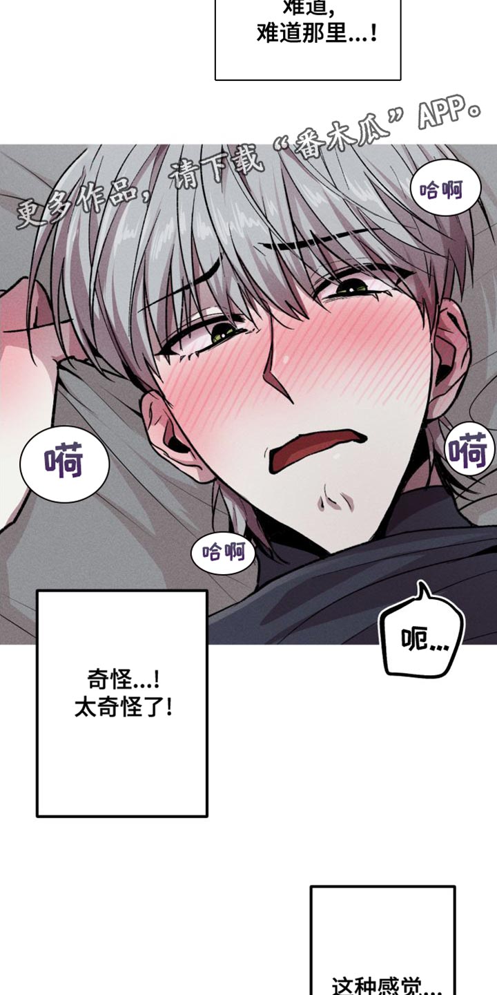 第21章：同样的感觉15