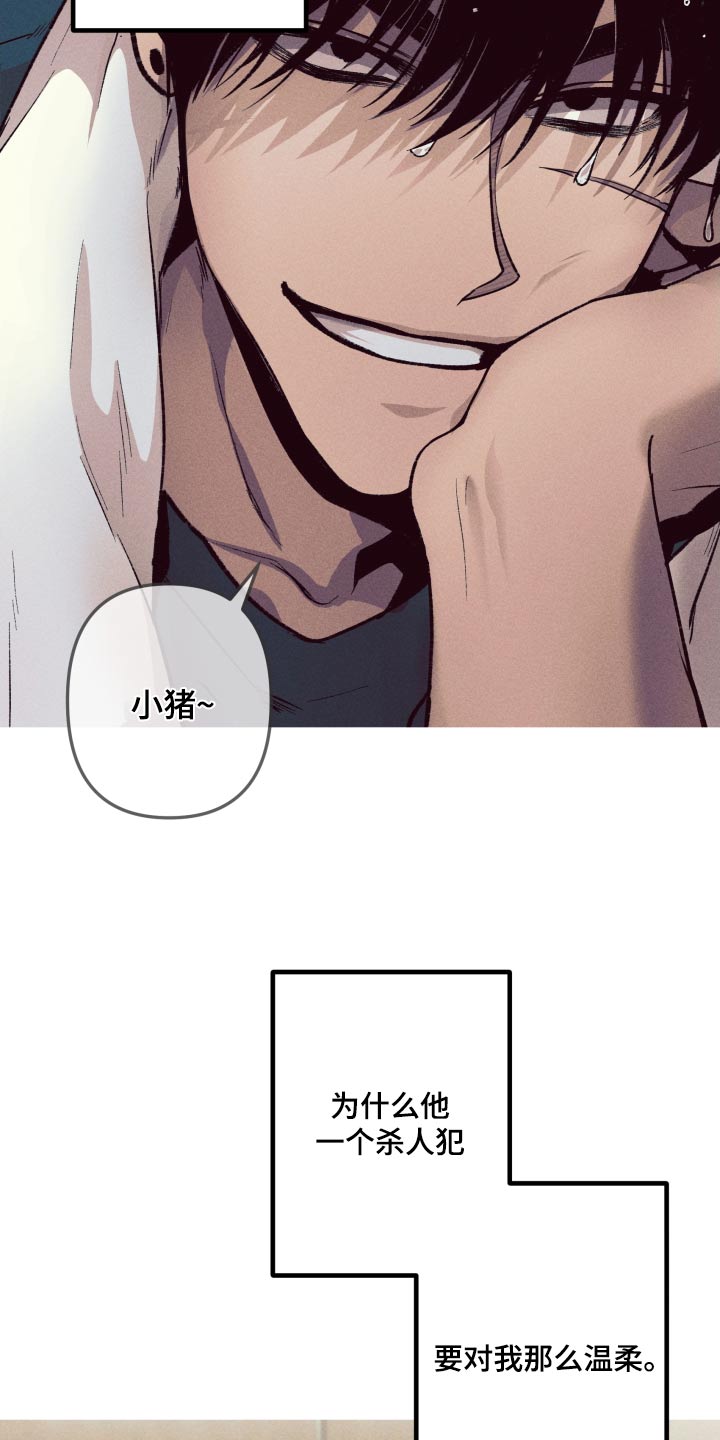 第48章：明显11