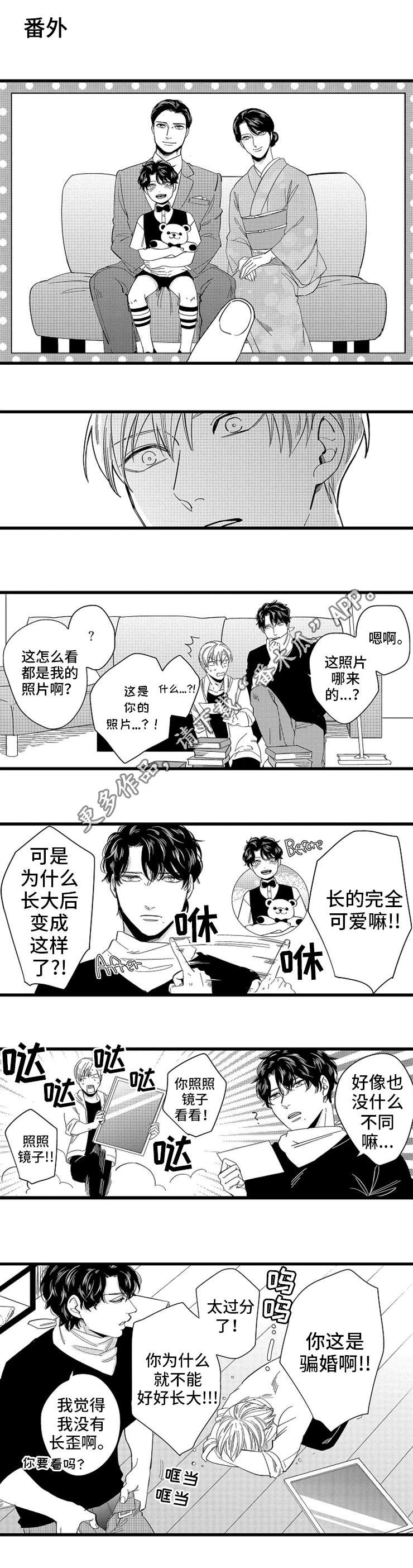 第27章：怀孕6