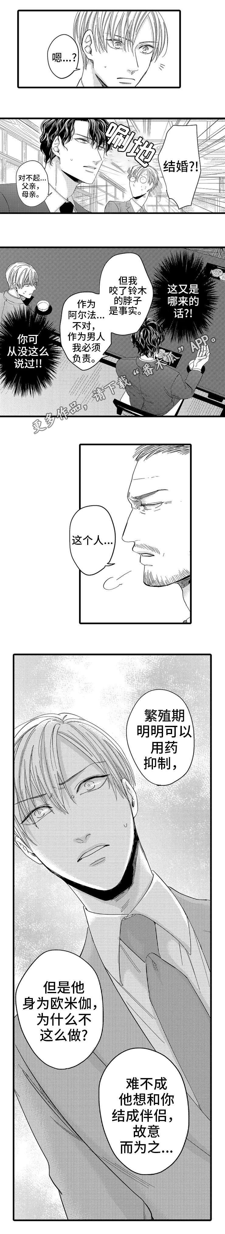 第7章：介绍3