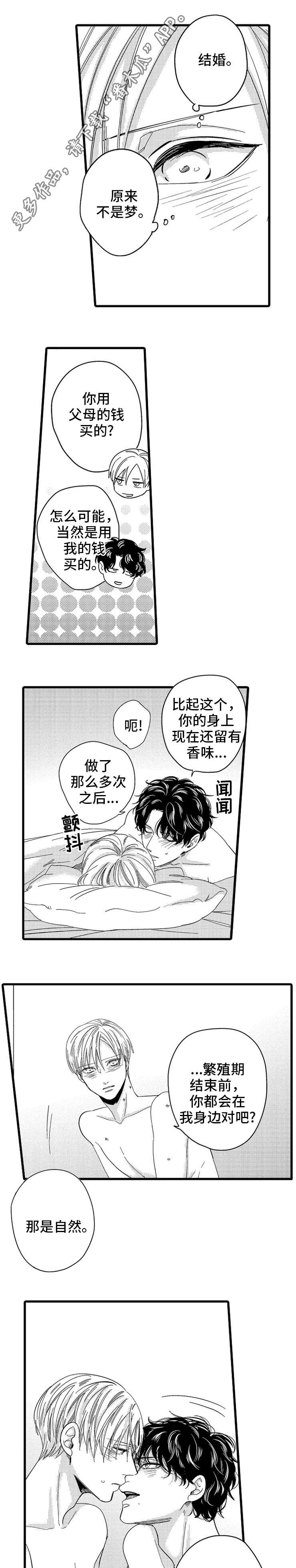 第26章：伴侣0