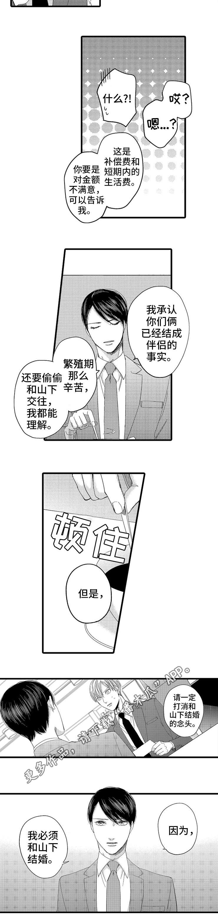 第11章：贿赂1