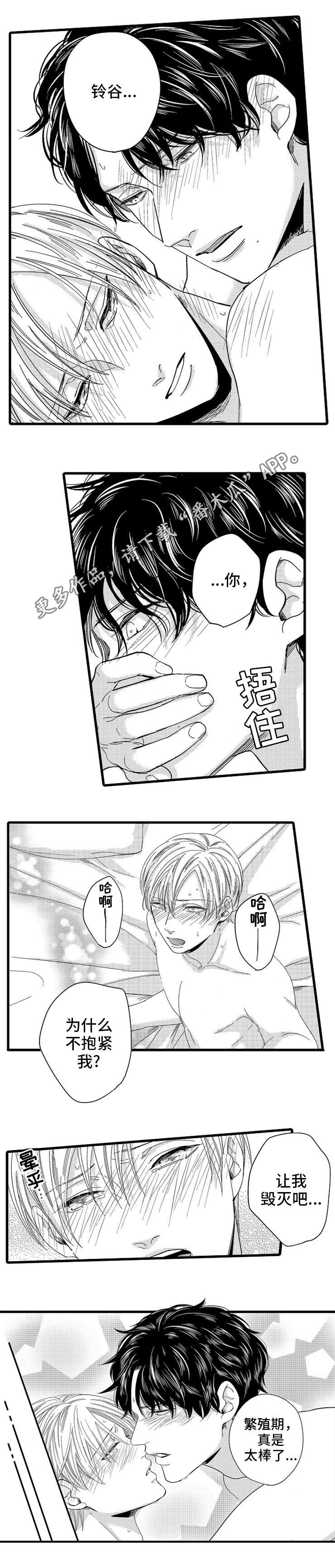 第25章：对戒3