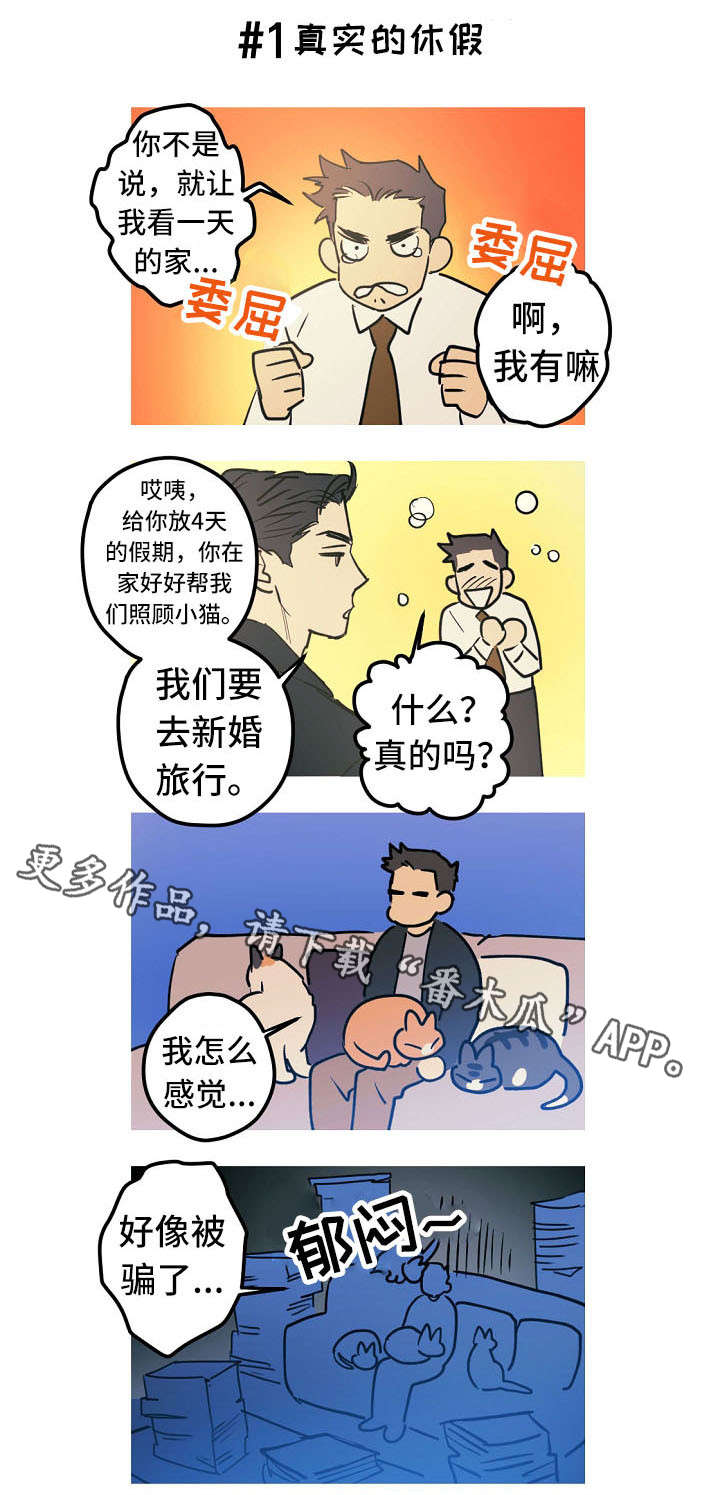 第27章：称呼（完结）10