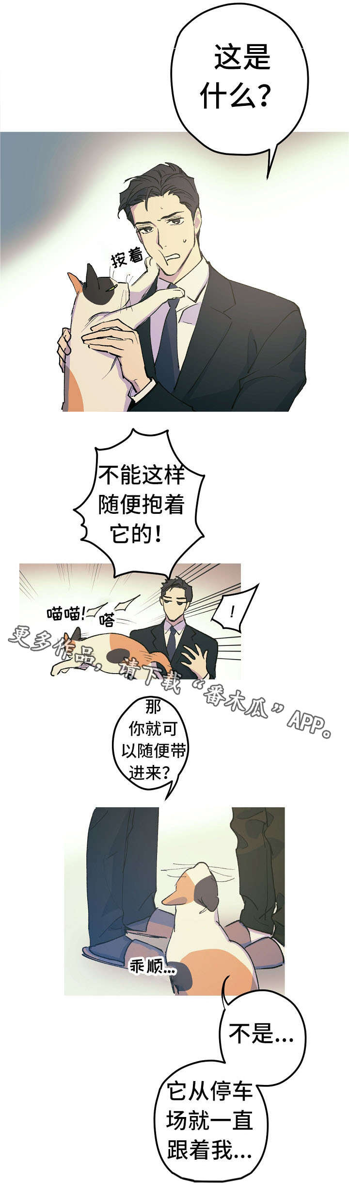 第12章：这是什么？8