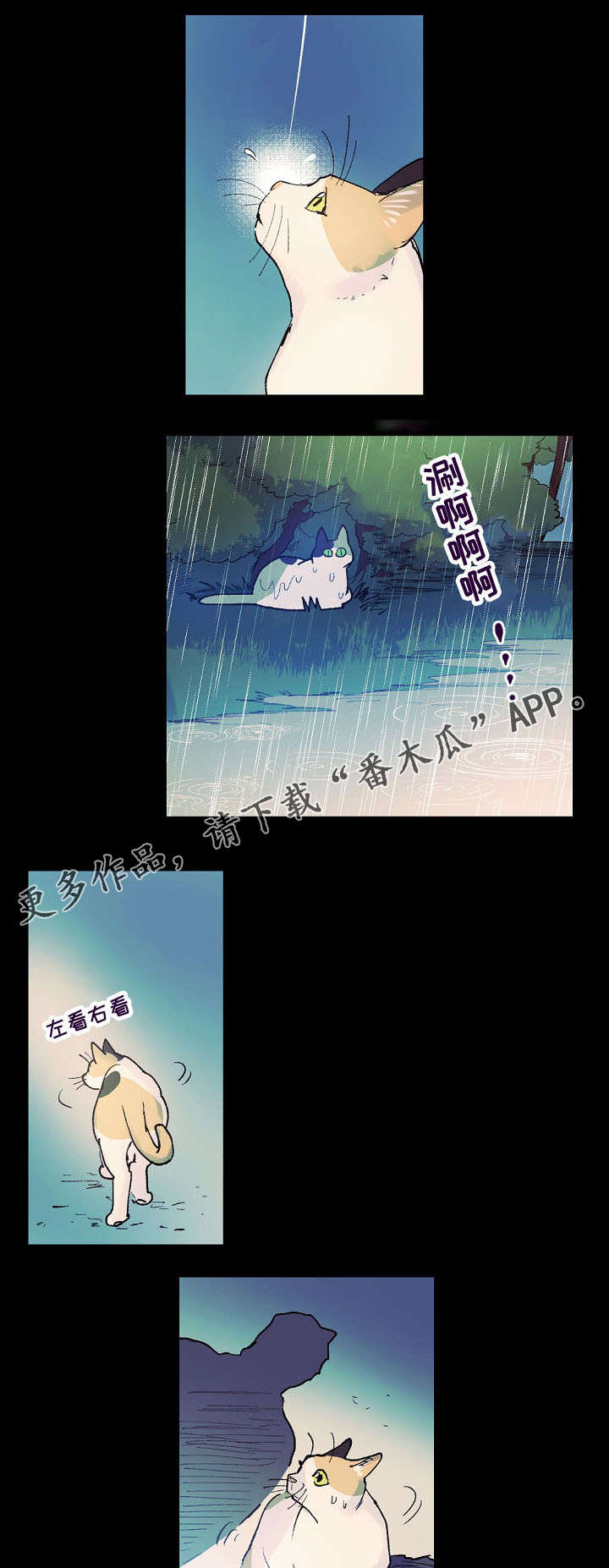 第14章：猫咪的梦7