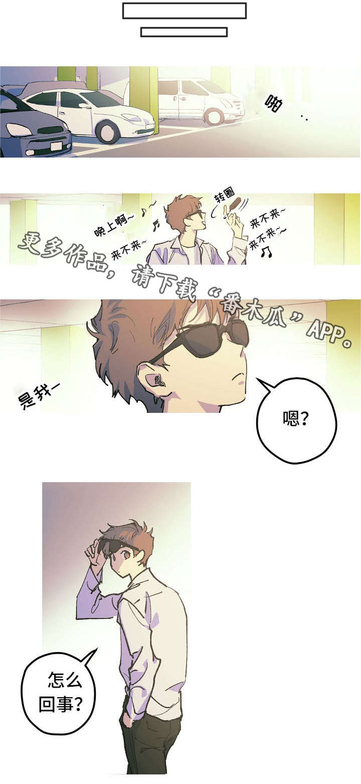 第11章：停车场的猫7