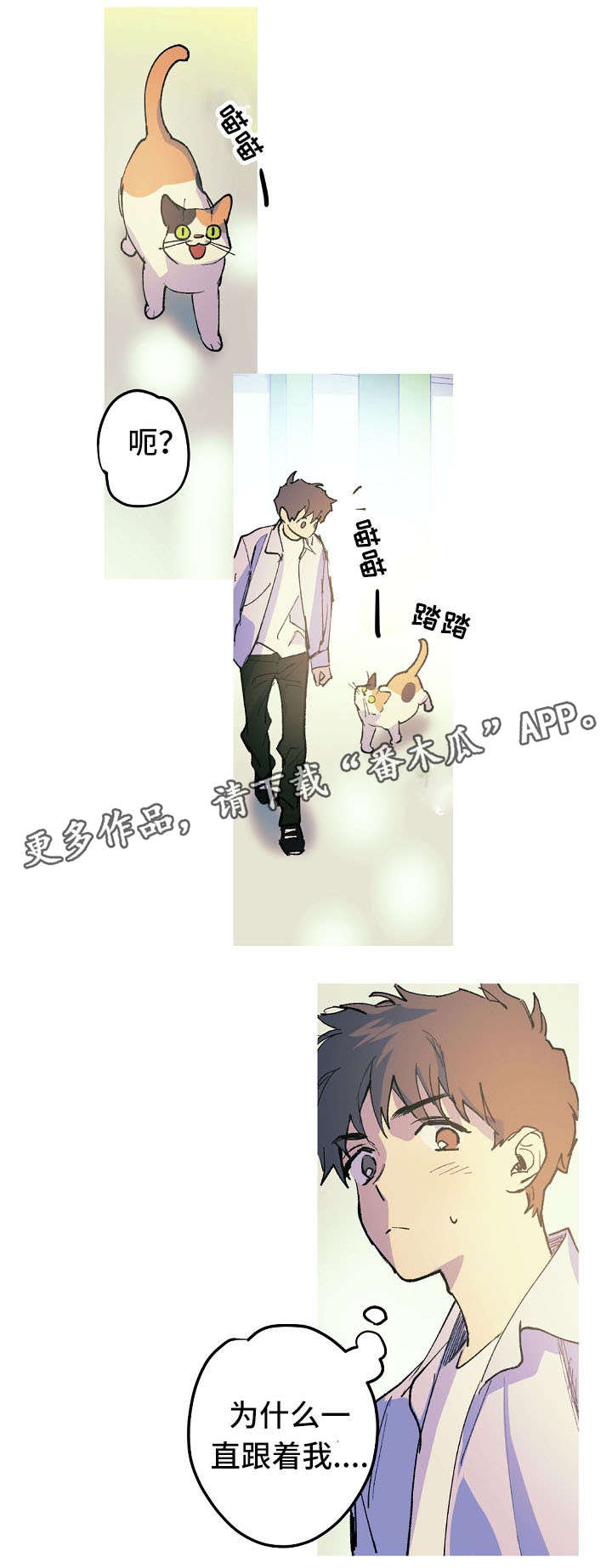 第11章：停车场的猫10