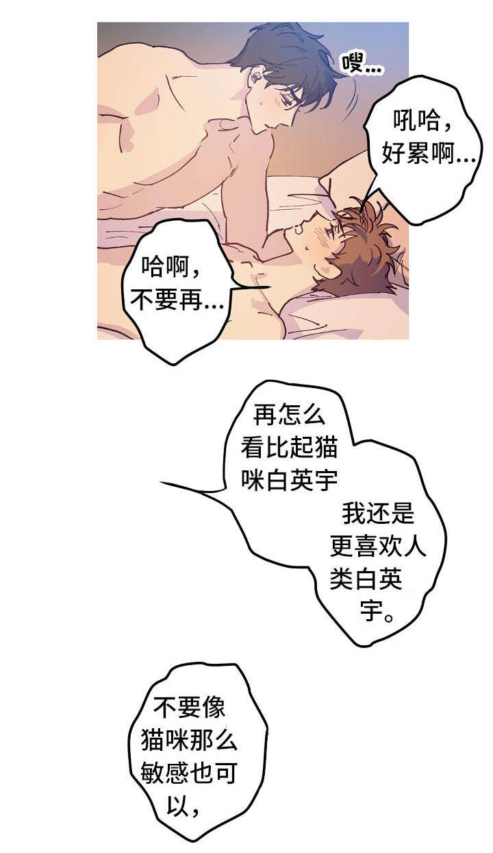 第17章：产崽3