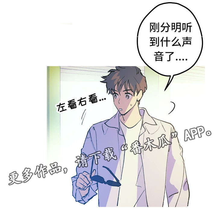 第11章：停车场的猫8