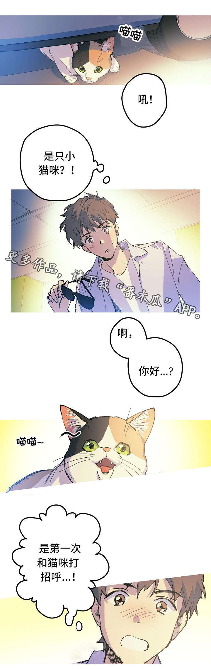 第11章：停车场的猫9