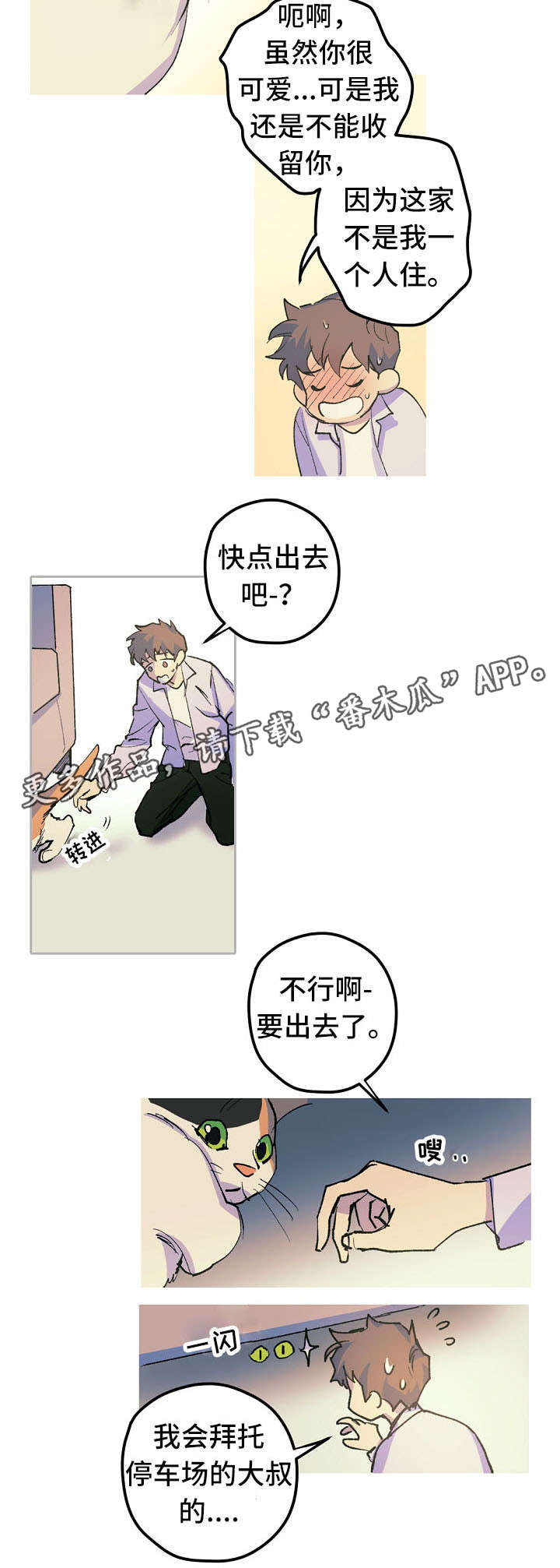 第12章：这是什么？5