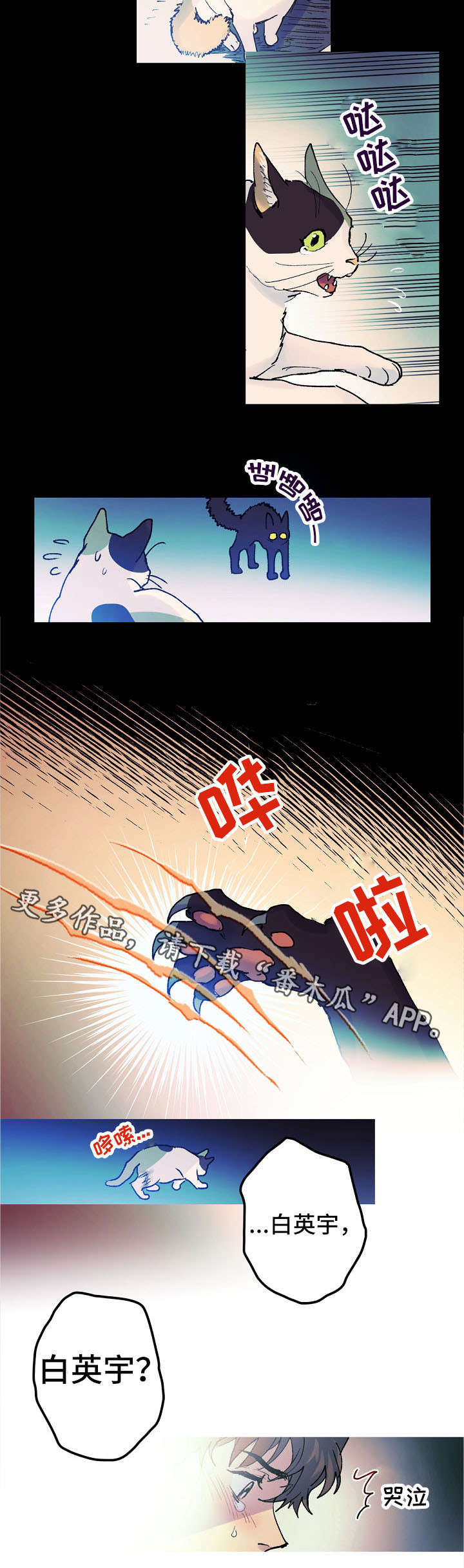 第14章：猫咪的梦8
