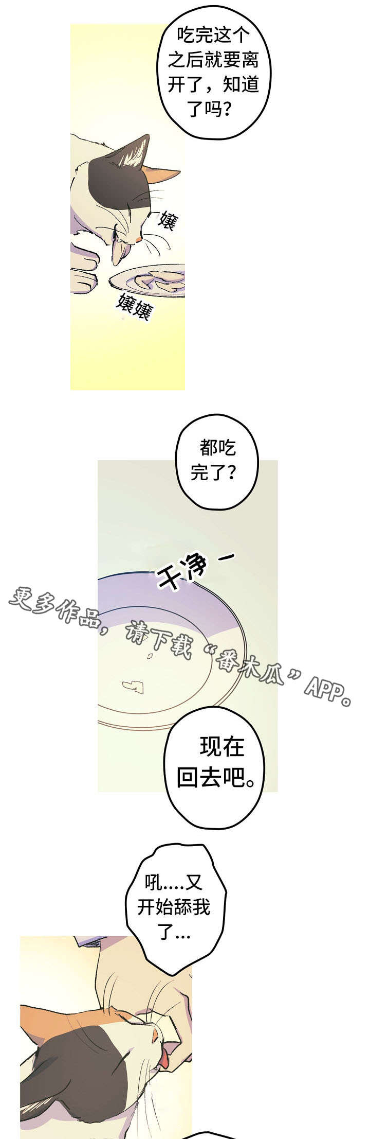 第12章：这是什么？4