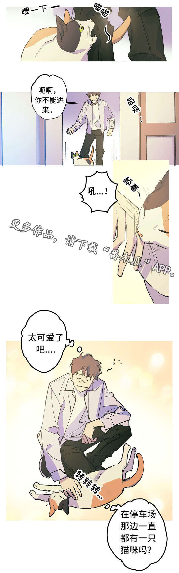 第12章：这是什么？0