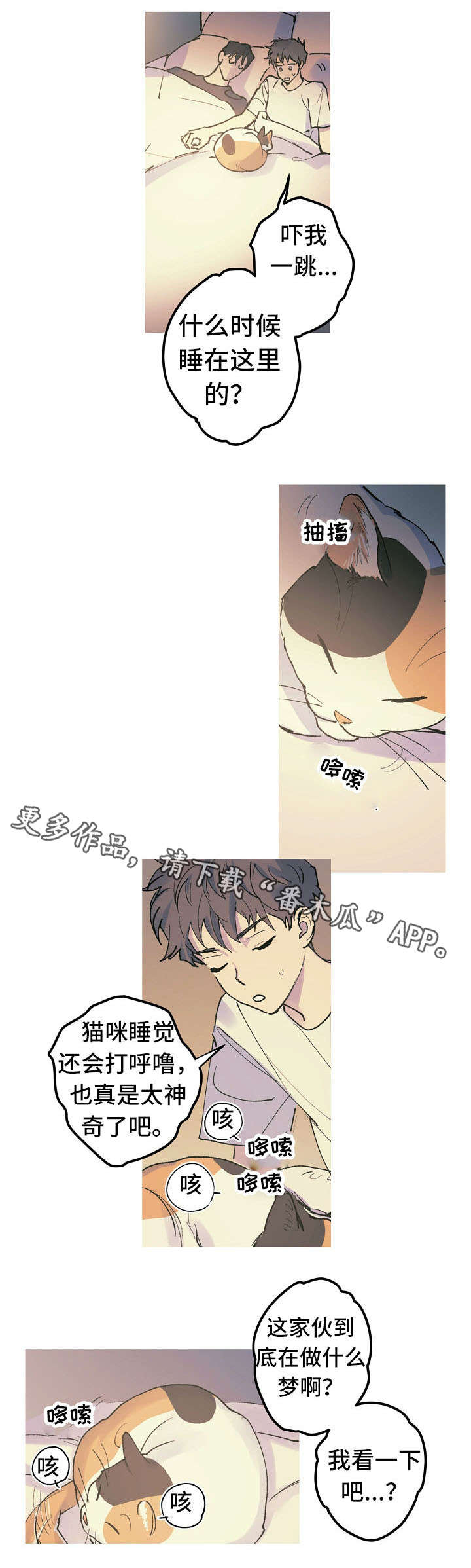 第14章：猫咪的梦4