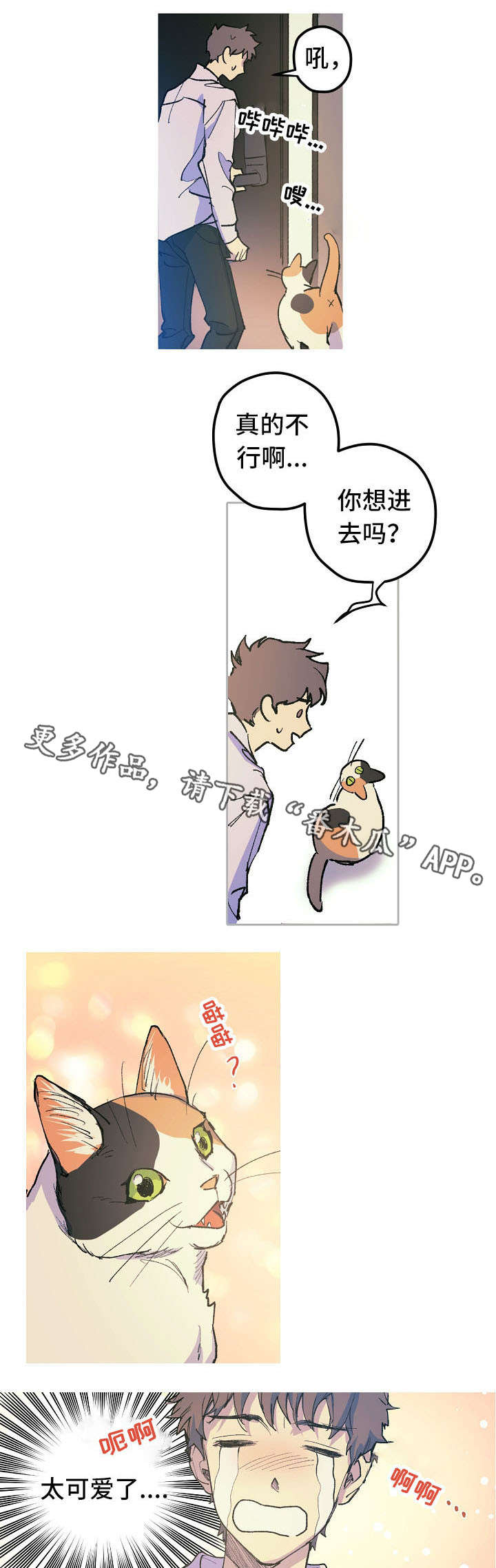 第12章：这是什么？2