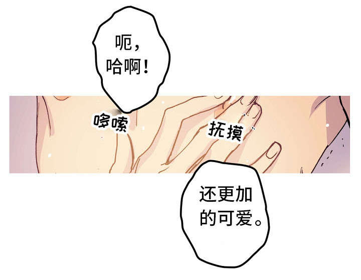 第17章：产崽4