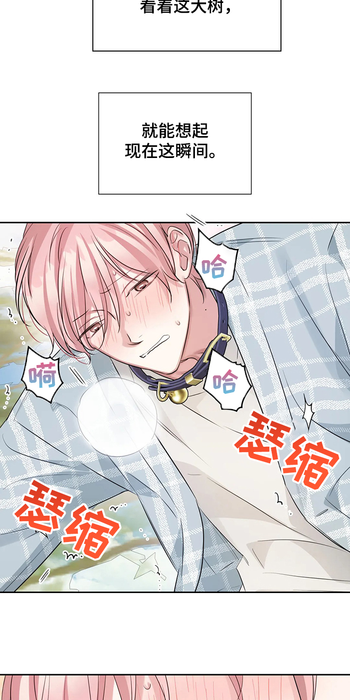 第48章：这绝对是报复2