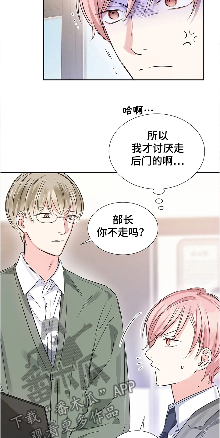 第29章：新任理事21