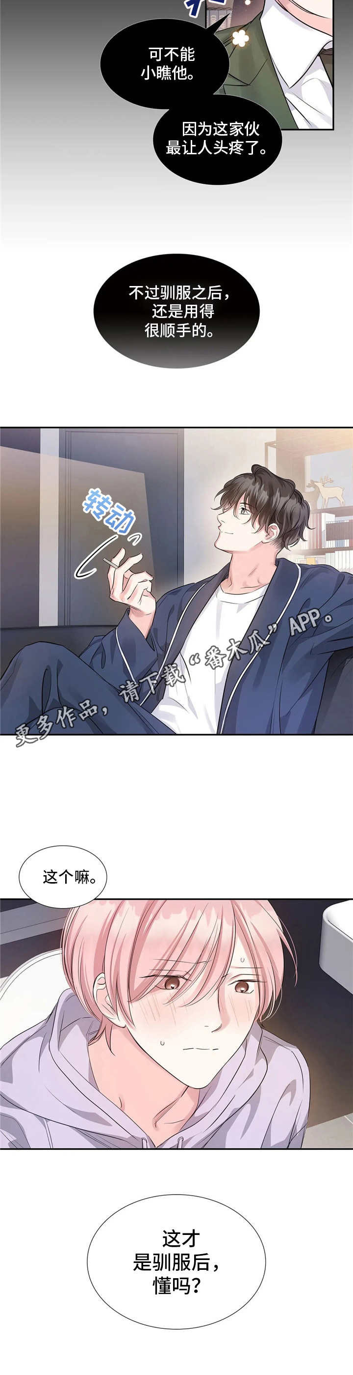 第14章：驯服11