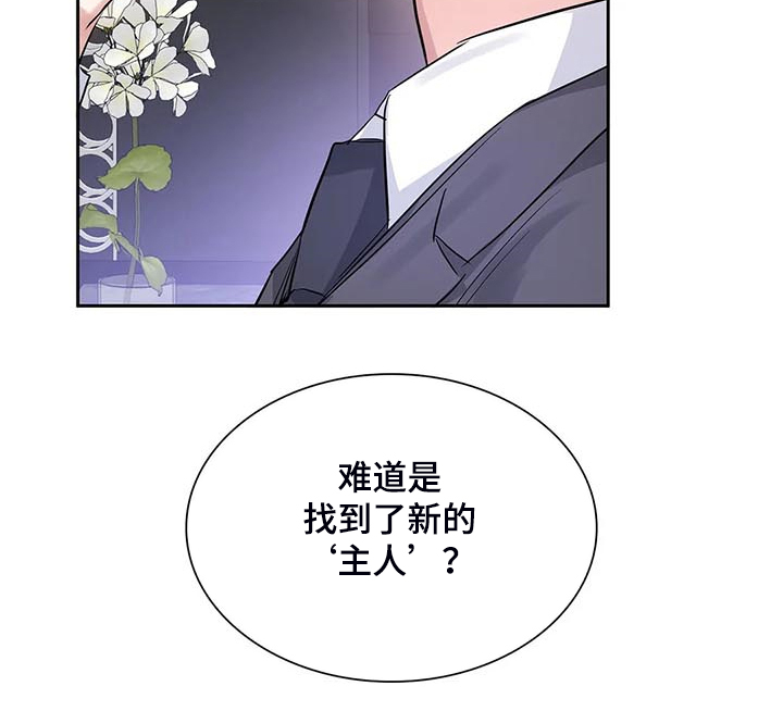 第40章：新的主人22