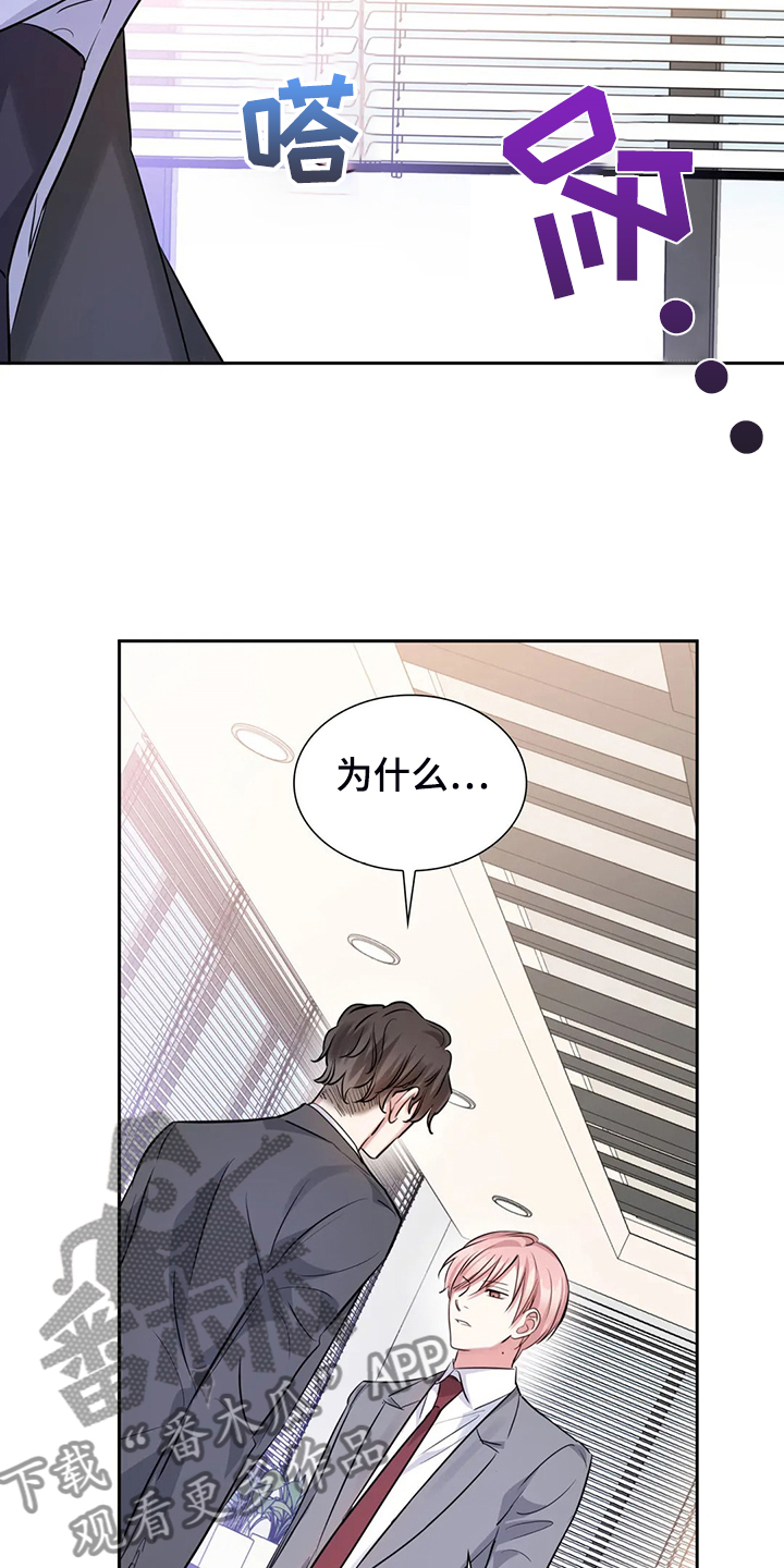 第65章：可怜人19