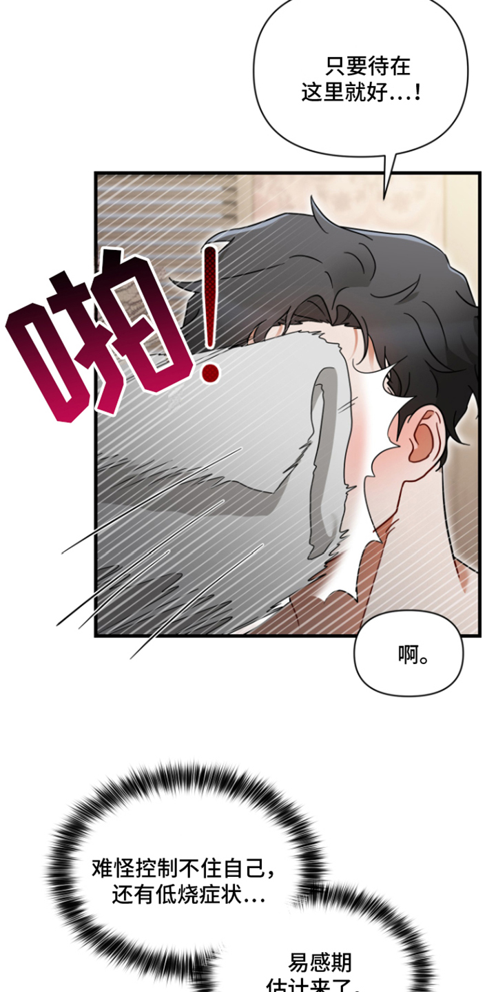 第2章：易感期13
