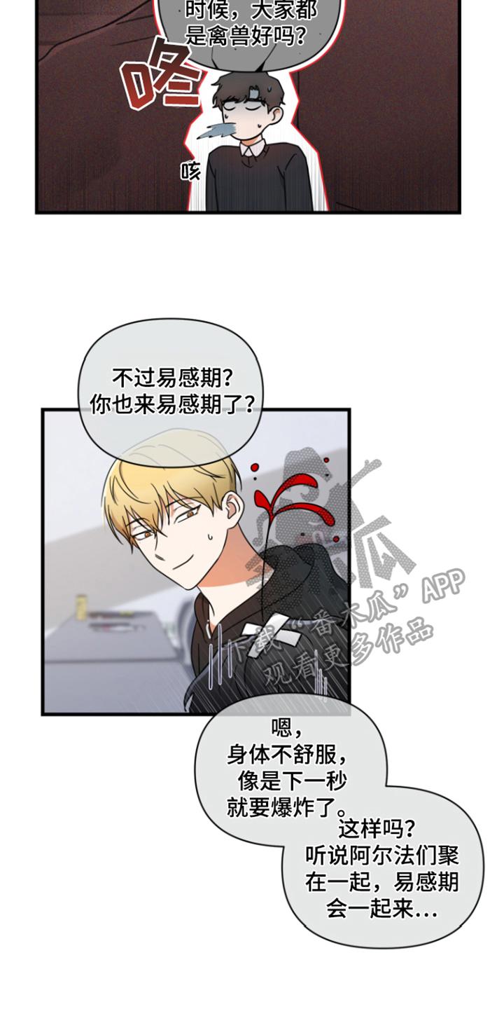 第5章：胡思乱想8