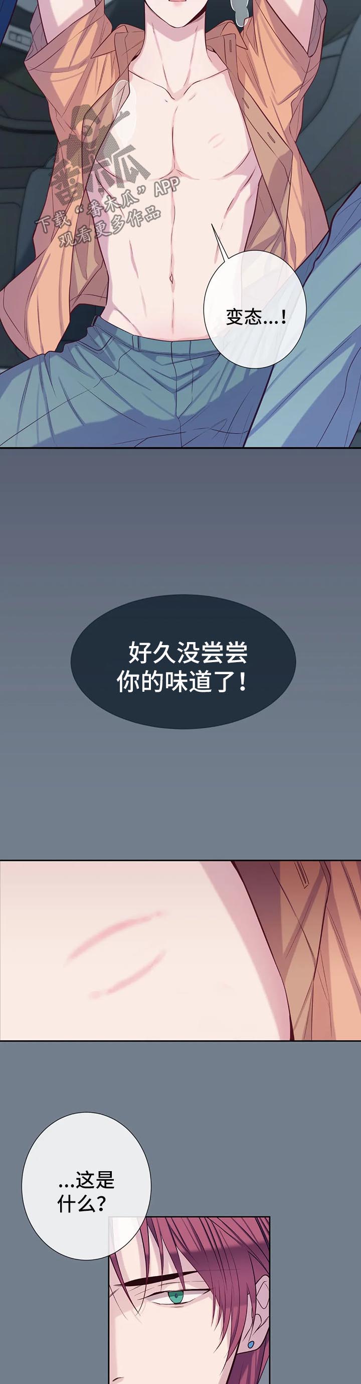 第54章：滋味8