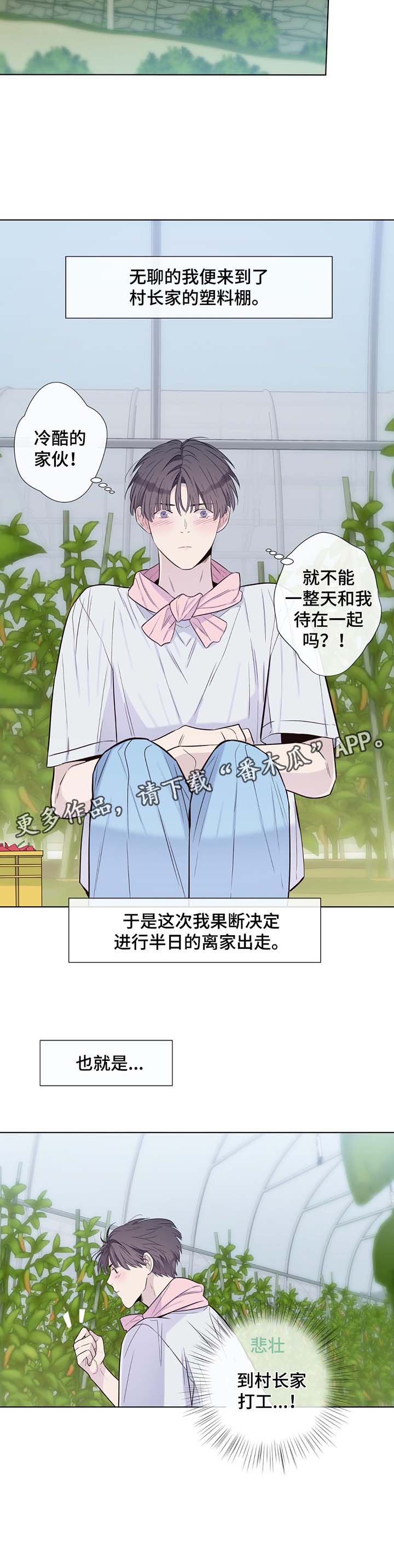 第31章：收获辣椒2