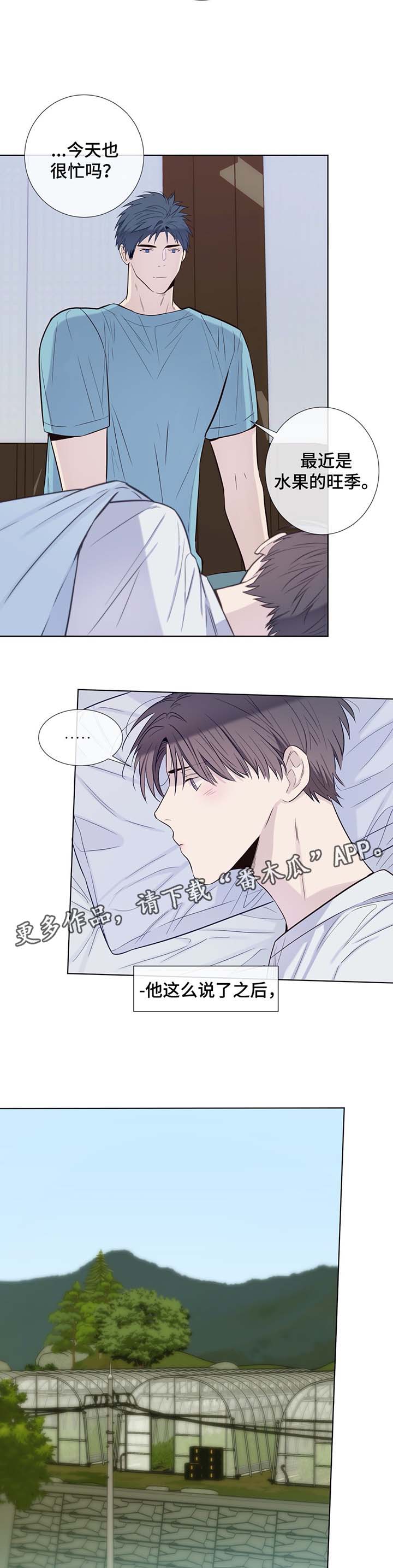 第31章：收获辣椒1