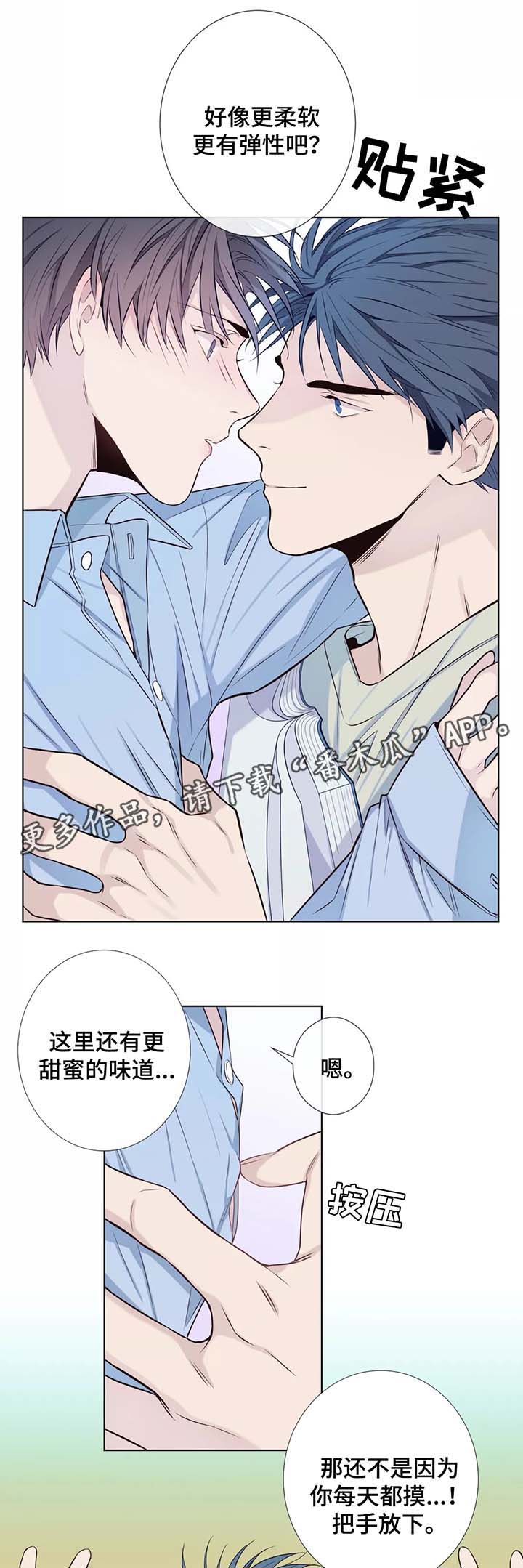 第39章：未来打算3