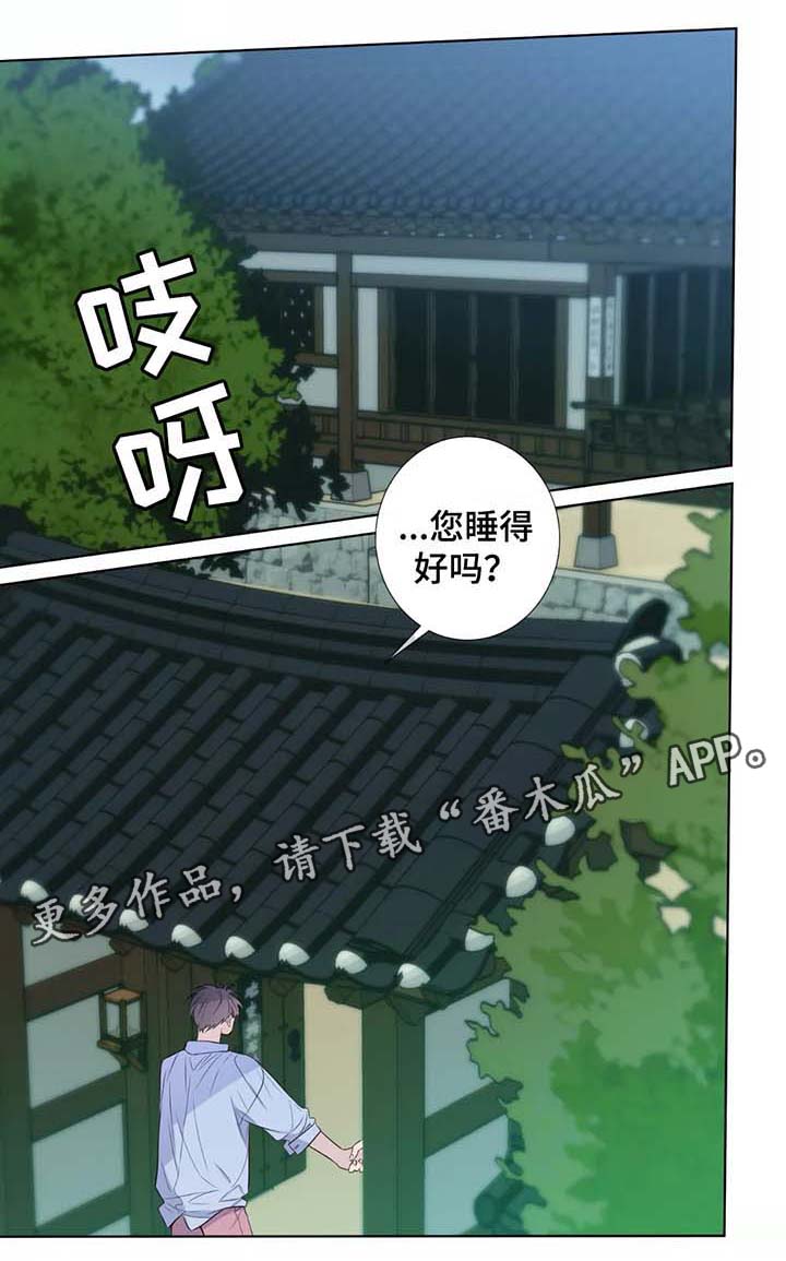 第39章：未来打算0
