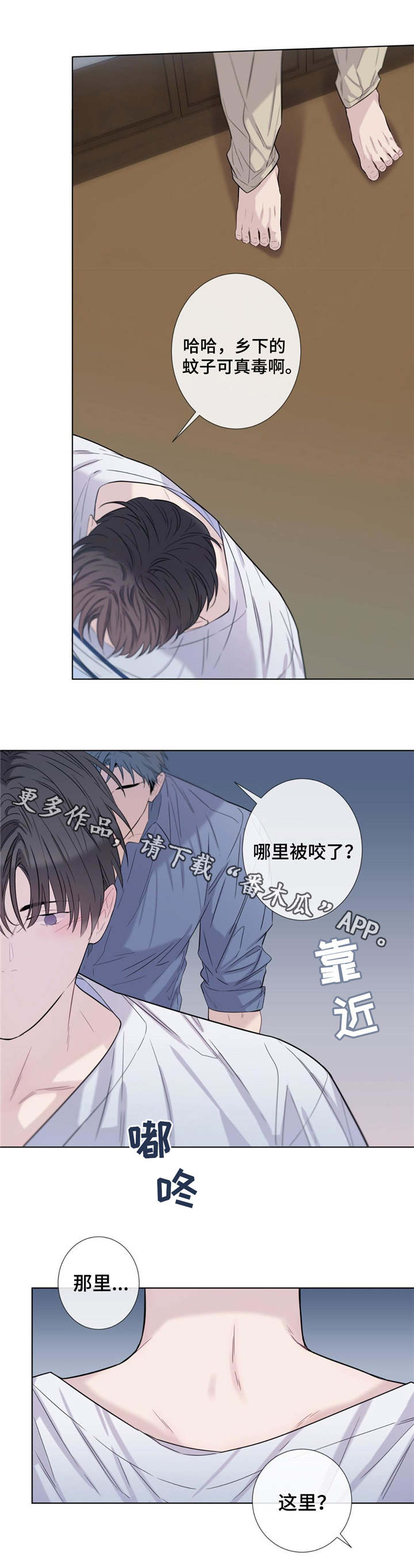 第19章：毒蚊子8