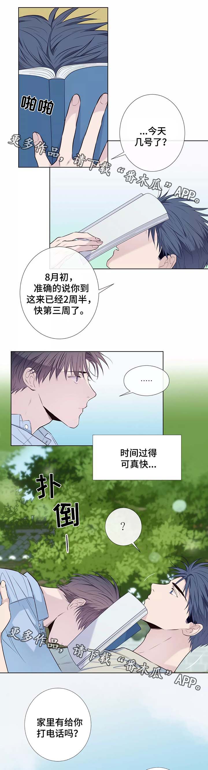 第39章：未来打算5