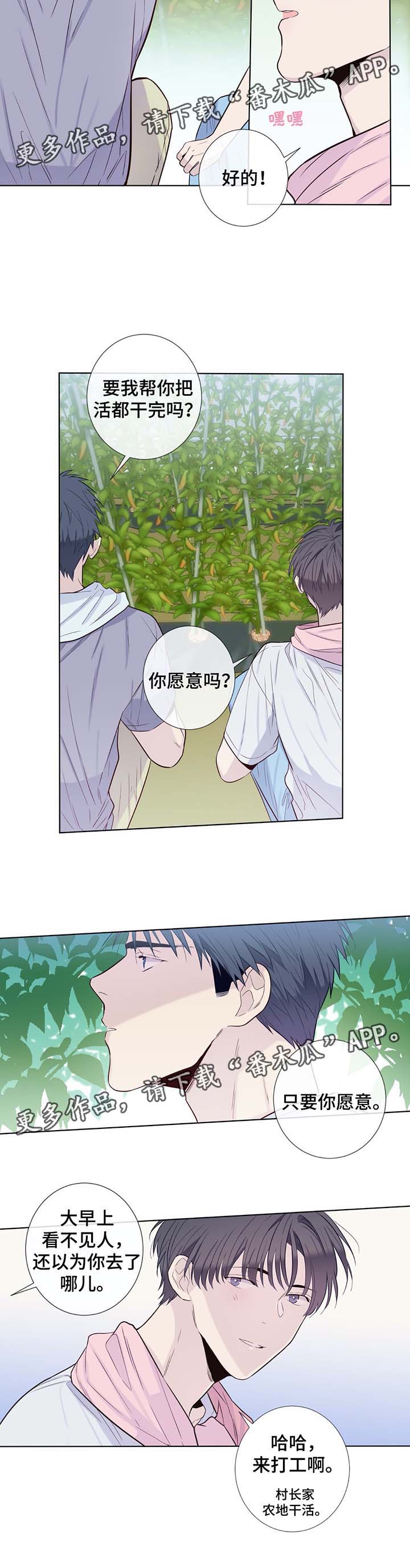 第32章：晕倒3