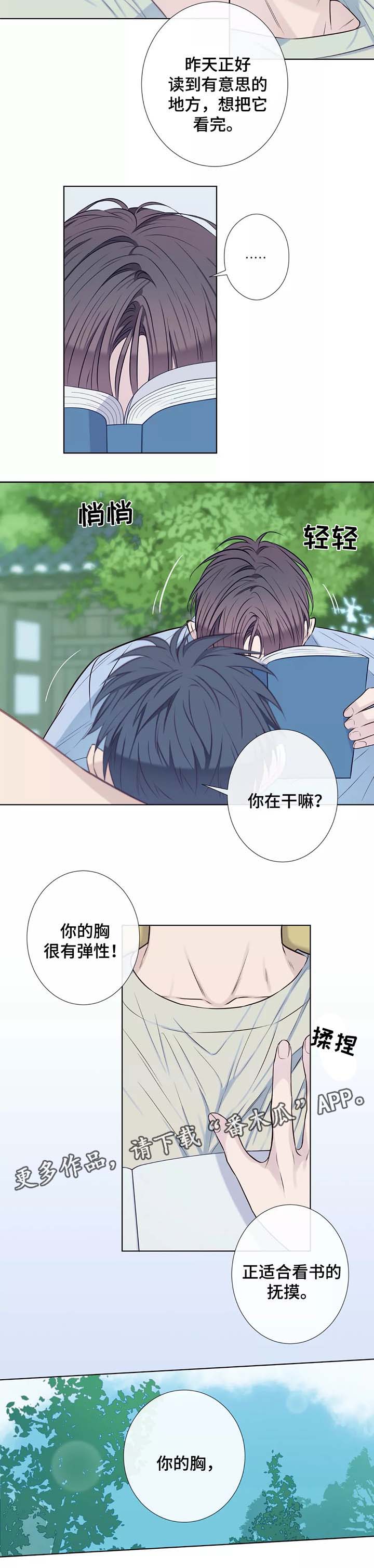 第39章：未来打算2