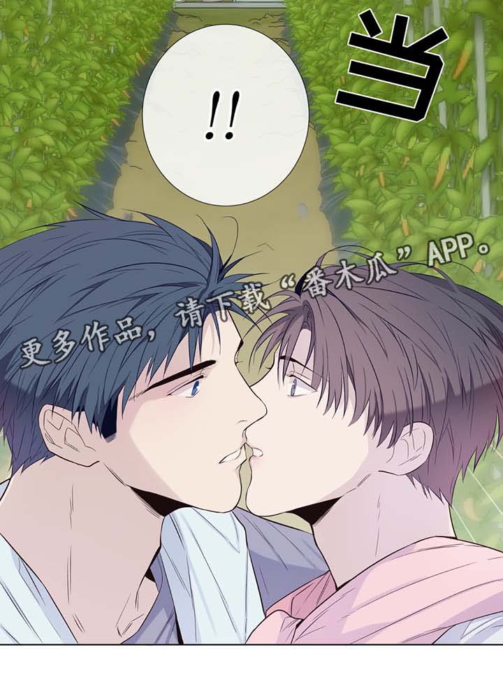 第31章：收获辣椒11