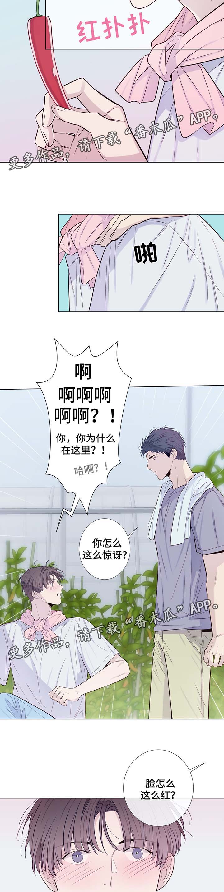 第31章：收获辣椒9